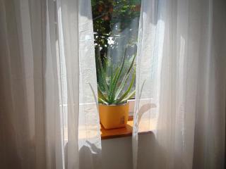 Apartments Petra - Biograd na Moru - 8