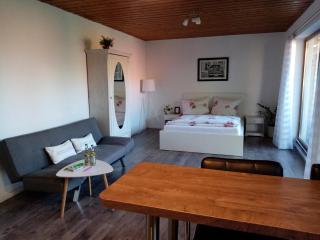 Schöne EinZimmer Wohnung Zwischen Bodensee und Allgäu - Neukirch - 9
