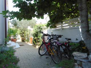 Apartments Petra - Biograd na Moru - 6