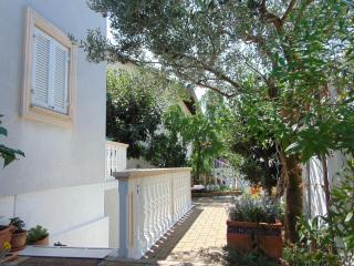 Apartments Petra - Biograd na Moru - 1