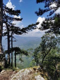 Apartman Bugar - Mitrovac - 3