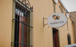 Grand Casa Naranjos, Hospedaje Alteño - Tepatitlán de Morelos - 5