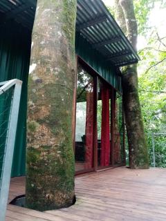 The Green Tree Lodge - Monteverde - 4
