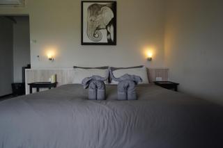 I love phants Lodge - Ban Huai Thawai - 6