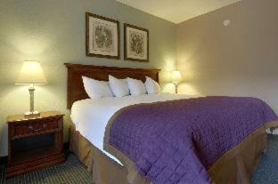 Bay Mountain Inn Cherokee Smoky Mountains - 6