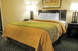 Comfort Inn & Suites Alameda at Albuquerque Balloon Fiesta Park - 7