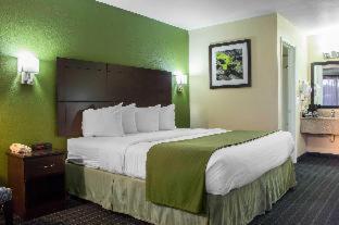 Quality Inn Parker - Parker - 6