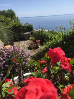 Villa Vista Mare Mela - Lípara - 1