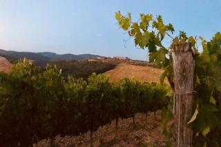 Premiere Apartments - Residenza Le Rose nel Chianti - Lornano - 2