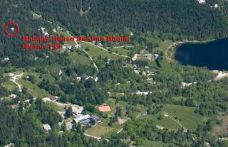 Holiday House Destina - Lake Bohinj - Bohinj - 1