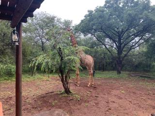 Athule Inn Marloth - House - Marloth Park - 3