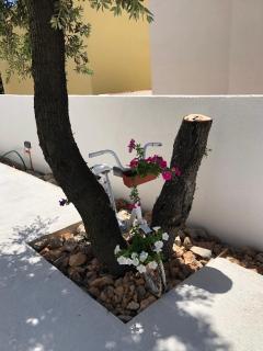 Apartmani obitelji Hržan-Keglević 2 - Mandre - 1