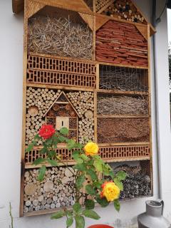 Oázis Üdülő Tiszafüred - Tiszafüred - 1