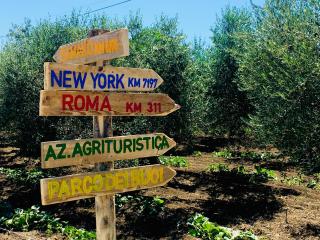 Az. Agr. Parco dei Buoi - Larino - 8