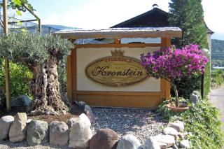 Residence Kronstein - Fewo 7 - Tesimo - 1