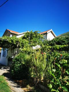 Apartman Miljanović - Trebinje - 7