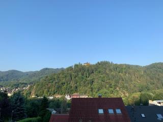 Schlossblickwohnung Schiel - Gernsbach - 5
