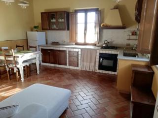 L'Aia degli olivi - Vada - 3
