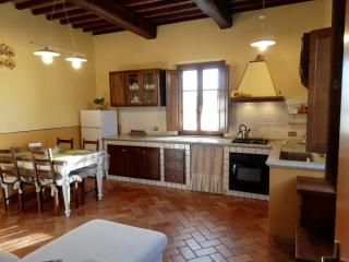 L'Aia degli olivi - Vada - 4
