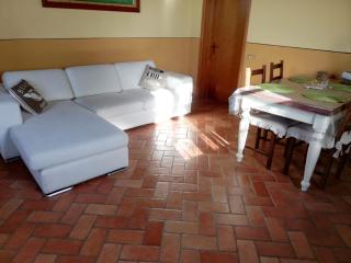 L'Aia degli olivi - Vada - 5