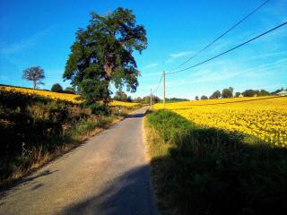 La Cour d'Enchère - 9