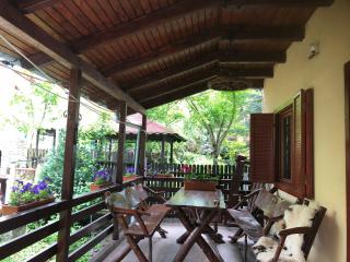 Family House - Buşteni - 2