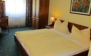 Brandiser Parkhotel - Brandis - 8