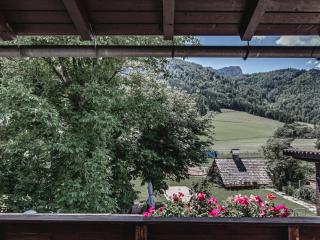Urlaub am Bauernhof Feldbauer - Landl - 6