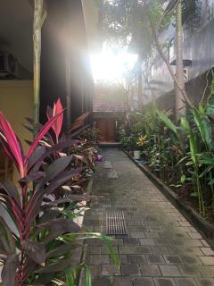 Guest house KupuKupu39 - Kuta - 2