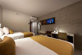 Microtel Inn & Suites by Wyndham San Luis Potosi - 8