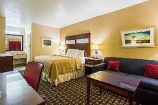 Hotel Oxford - Oxford - 8