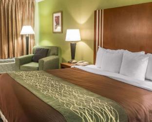 Days Inn by Wyndham Austintown - Austintown - 6