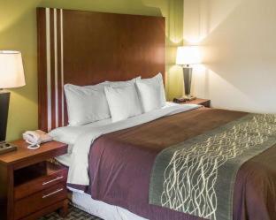 Days Inn by Wyndham Austintown - Austintown - 4