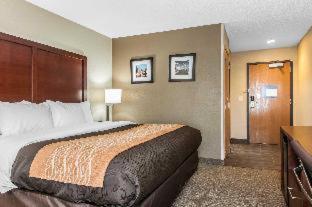 Comfort Inn Blue Ash North - Blue Ash - 1