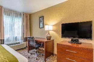 Comfort Inn & Suites Tuscumbia-Muscle Shoals - Tuscumbia - 8