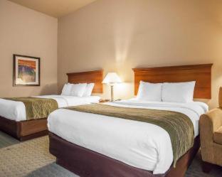 Comfort Inn & Suites Tuscumbia-Muscle Shoals - Tuscumbia - 5