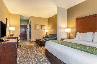 Comfort Inn & Suites Tuscumbia-Muscle Shoals - 2