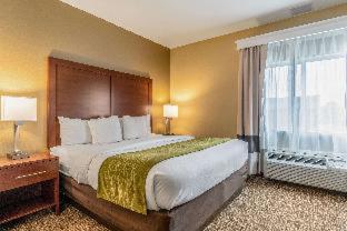 Comfort Inn & Suites Tuscumbia-Muscle Shoals - 1