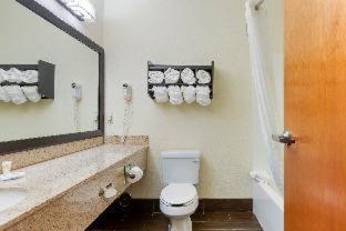 Comfort Suites Stevensville - St Joseph - 3