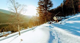 Chata U Vleku Kouty nad Desnou - 9