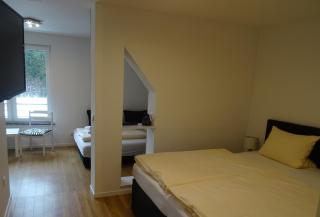Aktiv Hotel Winterberg - Winterberg - 1