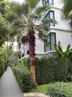 The Title Rawai Beach West Wing - Phuket - 9