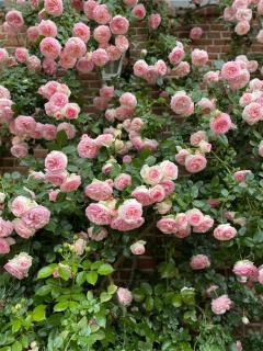 Locanda La Posta - 4