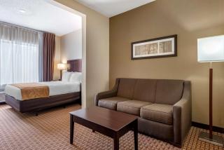 Comfort Suites - Marion - 4