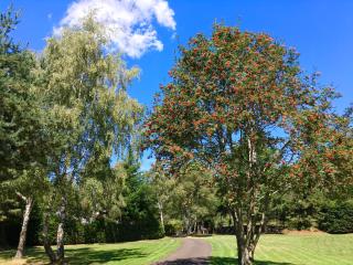 Domaine les 2 Mondes - Aydat - 7
