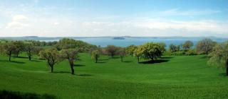 Agriturismo Antica Cassia - Bolsena - 3