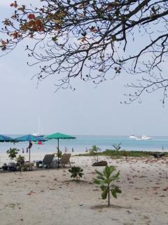 The Apartment at The Title Residencies Naiyang Beach - Phuket - 7