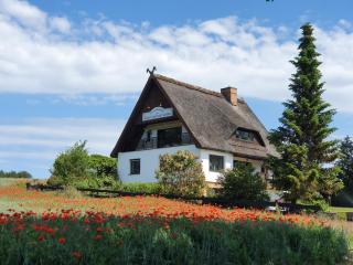 Pension Petersen - Bergen auf Rügen - 9