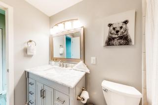 Watch Hill Lofted - Silverthorne - 1
