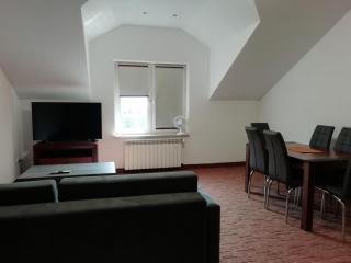 APARTAMENT W CENTRUM OLESNA - Olesno - 1